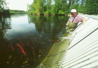 Horsefly River Roundtable