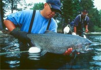 Horsefly River Roundtable